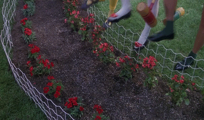 Acid Gifdump, October 13, 2015 (25 gifs)