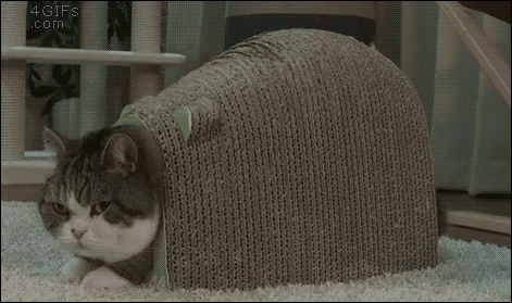 Acid Gifdump, October 13, 2015 (25 gifs)