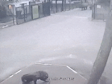 Acid Gifdump, October 13, 2015 (25 gifs)