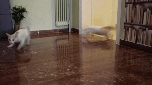 Acid Gifdump, October 14, 2015 (25 gifs)