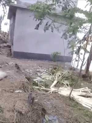 Acid Gifdump, October 14, 2015 (25 gifs)