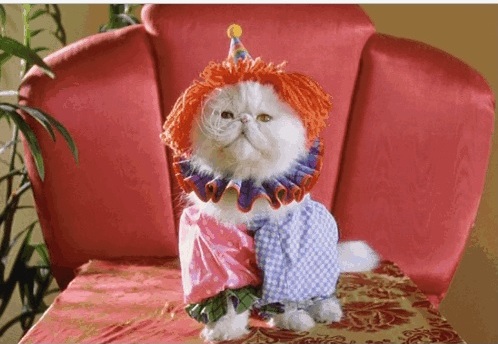 Acid Gifdump, November 04, 2015 (25 gifs)