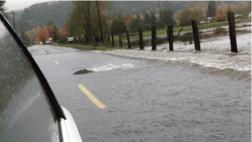 Acid Gifdump, November 26, 2015 (25 gifs)