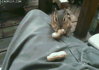 Acid Gifdump, December 01, 2015 (25 gifs)