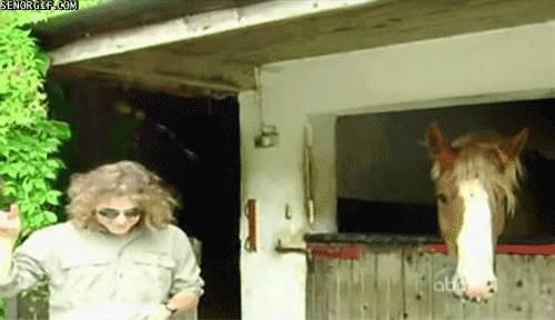 Acid Gifdump, December 01, 2015 (25 gifs)