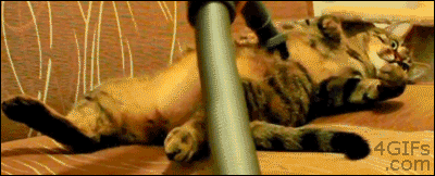 Acid Gifdump, December 02, 2015 (25 gifs)