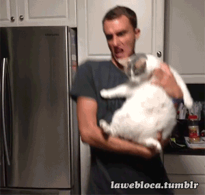 Acid Gifdump, December 02, 2015 (25 gifs)