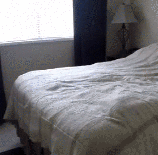 Acid Gifdump, December 02, 2015 (25 gifs)