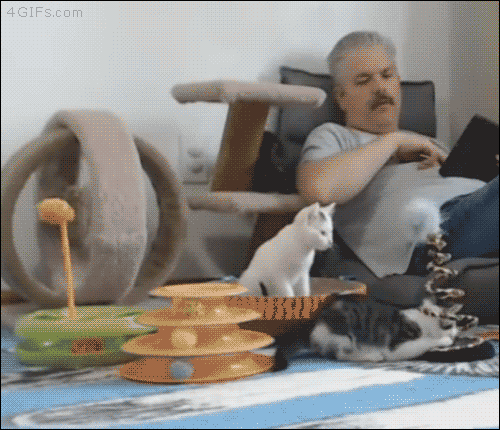 Acid Gifdump, December 02, 2015 (25 gifs)