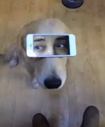 Acid Gifdump, December 02, 2015 (25 gifs)
