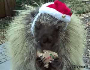 Acid Gifdump, December 02, 2015 (25 gifs)