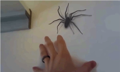 Acid Gifdump, December 03, 2015 (25 gifs)