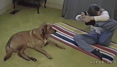 Acid Gifdump, December 21, 2015 (25 gifs)