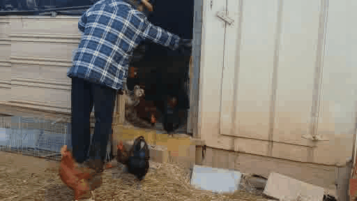 Acid Gifdump, December 21, 2015 (25 gifs)
