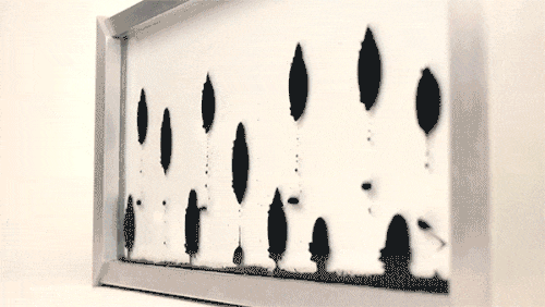 Acid Gifdump, December 21, 2015 (25 gifs)