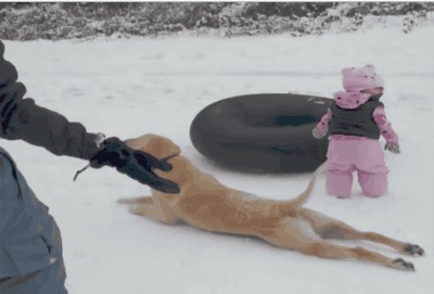 Acid Gifdump, December 31, 2015 (25 gifs)