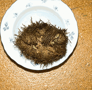 Acid Gifdump, February 17, 2016 (25 gifs)