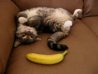 Acid Gifdump, February 17, 2016 (25 gifs)