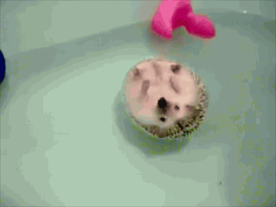 Acid Gifdump, February 17, 2016 (25 gifs)