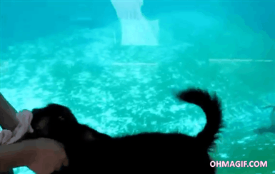 Acid Gifdump, February 17, 2016 (25 gifs)