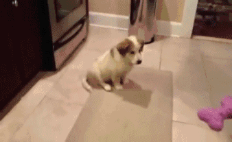 Acid Gifdump, February 19, 2016 (25 gifs)