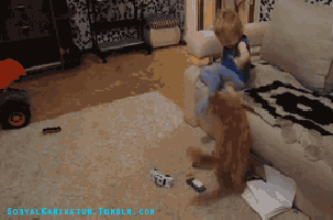 Acid Gifdump, February 19, 2016 (25 gifs)