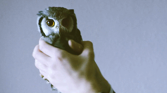 Acid Gifdump, February 19, 2016 (25 gifs)