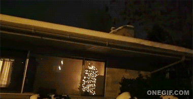 Acid Gifdump, February 19, 2016 (25 gifs)