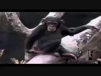 Acid Gifdump, February 24, 2016 (25 gifs)