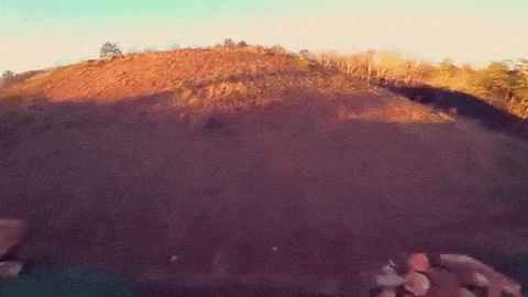 Acid Gifdump, February 24, 2016 (25 gifs)