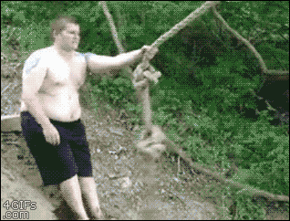 Acid Gifdump, February 24, 2016 (25 gifs)