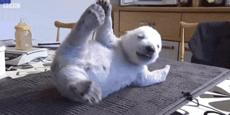 Acid Gifdump, February 24, 2016 (25 gifs)