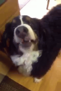 Acid Gifdump, February 24, 2016 (25 gifs)
