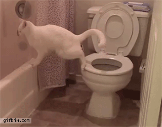 Acid Gifdump, February 24, 2016 (25 gifs)