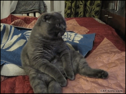 Acid Gifdump, March 23, 2016 (25 gifs)