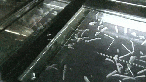 Acid Gifdump, March 23, 2016 (25 gifs)