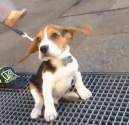 Acid Gifdump, March 23, 2016 (25 gifs)