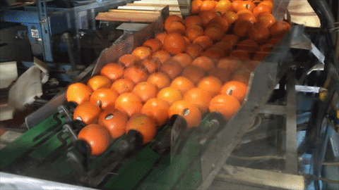 Acid Gifdump, March 23, 2016 (25 gifs)