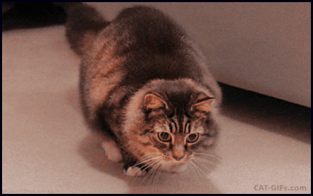 Acid Gifdump, March 23, 2016 (25 gifs)