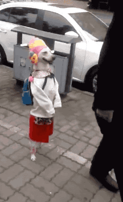 Acid Gifdump, March 29, 2016 (25 gifs)