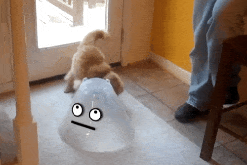 Acid Gifdump, March 29, 2016 (25 gifs)
