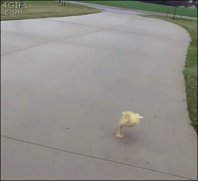 Acid Gifdump, March 29, 2016 (25 gifs)