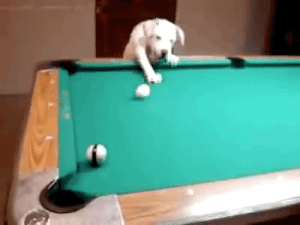 Acid Gifdump, March 29, 2016 (25 gifs)