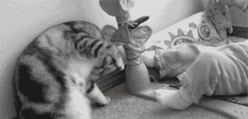 Acid Gifdump, March 29, 2016 (25 gifs)