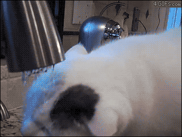 Acid Gifdump, April 08, 2016 (25 gifs)