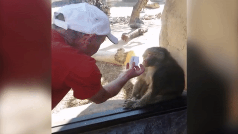 Acid Gifdump, April 08, 2016 (25 gifs)