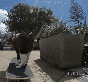 Acid Gifdump, April 08, 2016 (25 gifs)