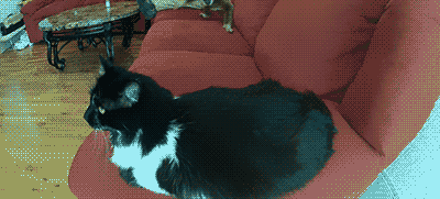 Acid Gifdump, April 13, 2016 (25 gifs)