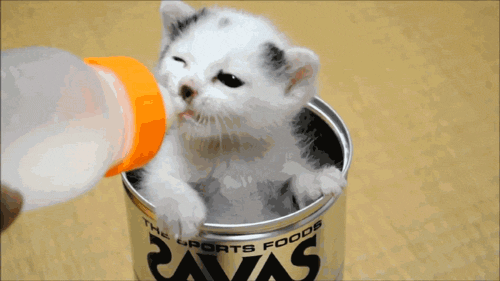 Acid Gifdump, April 13, 2016 (25 gifs)