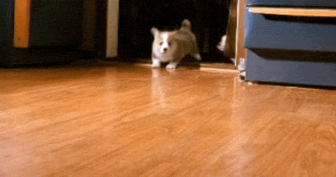 Acid Gifdump, April 13, 2016 (25 gifs)